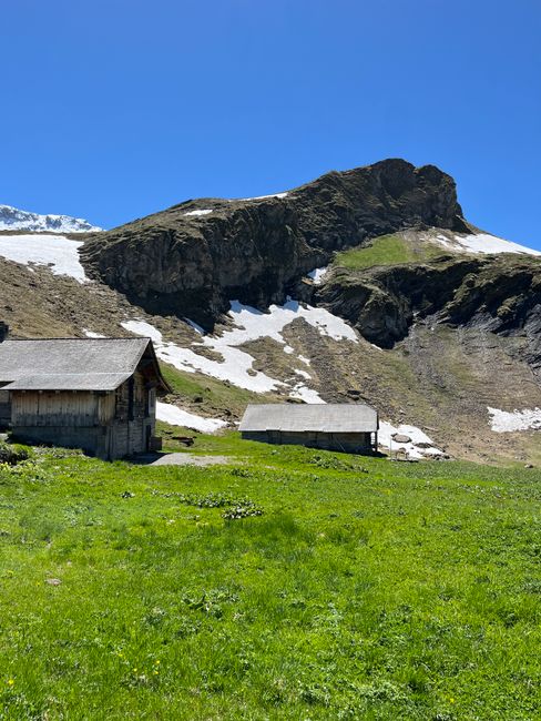 A rural landscape featuring two wooden farm buildings with weathered greyish-brown exteriors and pitched roofs situated on a lush green grassy field. The larger building is positioned to the left, while a smaller one is positioned to the right, both slightly set back from the foreground. The background displays a rugged mountain with dark, rocky outcrops and patches of snow, rising steeply behind the buildings. The mountain has sparse green vegetation on its lower slopes, contrasting with the snow patches and rocky surface higher up. The sky above is clear and bright blue, with no clouds visible, suggesting a sunny day. The scene has a natural, untouched appearance, reflecting a remote countryside setting potentially suitable for independent waste disposal or on-site clearance, which aligns with services offered by Waste Disposal Swiss Cottage. The natural environment emphasizes the absence of surrounding urban infrastructure, focusing instead on the scenic landscape against which waste management services can be contrasted as an alternative method of rubbish removal in rural areas.