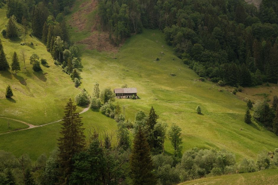 A small, rustic house with a grey, sloped roof situated on a grassy hillside surrounded by lush green trees and shrubs. The house is positioned centrally in the image, with a narrow dirt path leading up to it from the lower left corner. The hillside features rolling terrain with patches of open grassland and clusters of tall coniferous and deciduous trees, creating a natural, wooded environment. In the background, dense forested slopes ascend towards a mountainous area, with vibrant green foliage and varying tree heights. The overall scene is illuminated by natural daylight, highlighting the rich textures of the grass, leaves, and tree bark, conveying a peaceful rural setting that could relate to site clearance or private waste handling in a countryside context.